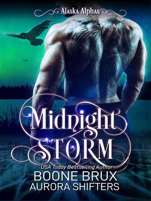 cover image of Midnight Storm